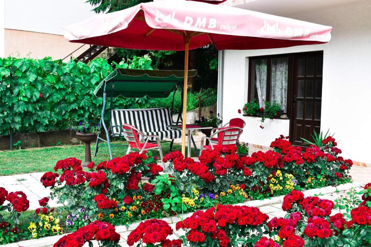 Apartmani "Vila Jelena" Arandjelovac Luaran gambar