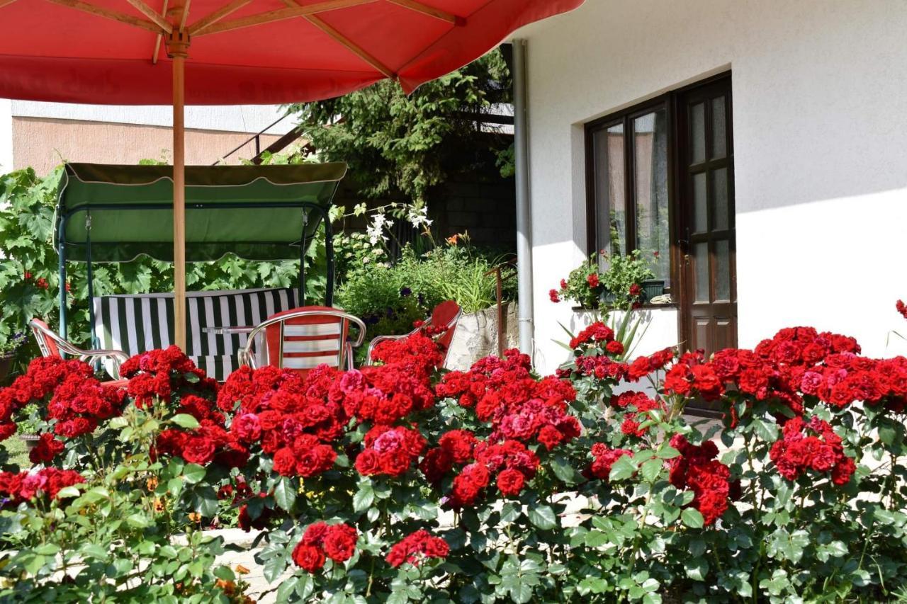 Apartmani "Vila Jelena" Arandjelovac Luaran gambar