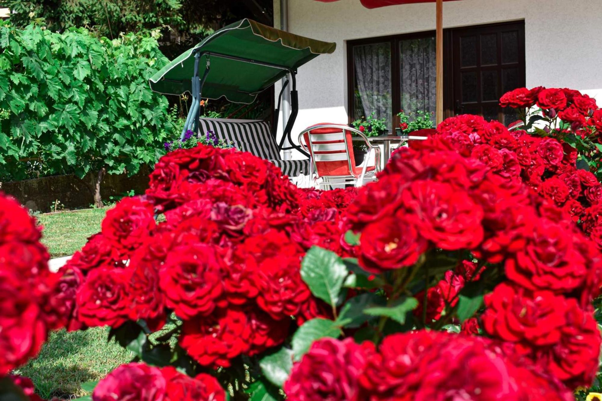 Apartmani "Vila Jelena" Arandjelovac Bilik gambar