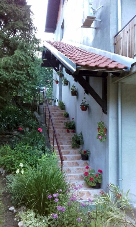 Apartmani "Vila Jelena" Arandjelovac Luaran gambar